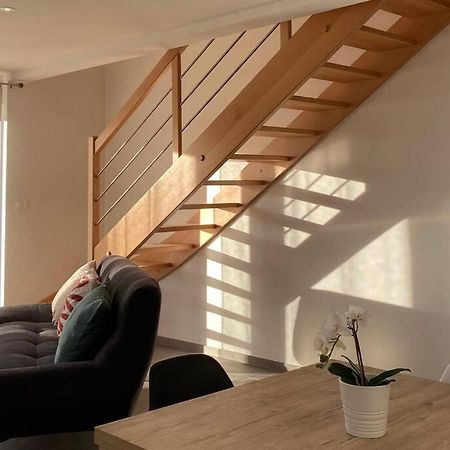Appartement Dans Une Grange Renovee 斯特拉斯堡 外观 照片