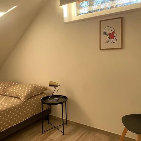 Appartement Dans Une Grange Renovee 斯特拉斯堡 外观 照片